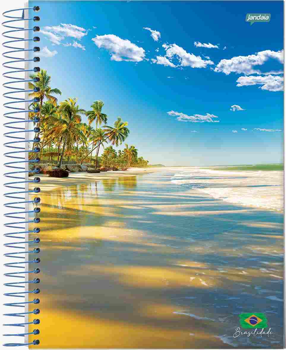 CADERNO C.D. 1X1 BRASILIDADE